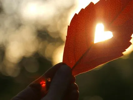 5 Min Sacred Heart Field Meditation