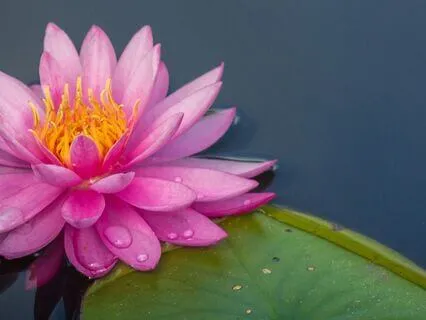 5-Min Self-Compassion Affirmations For Hard Times