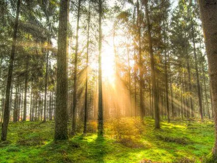 Self-Confidence Affirmations