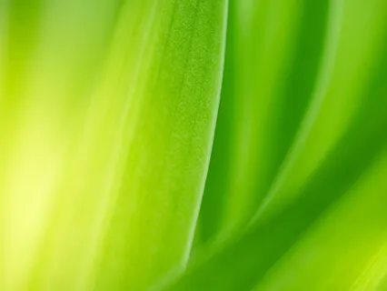 5 Minute Stress Buster