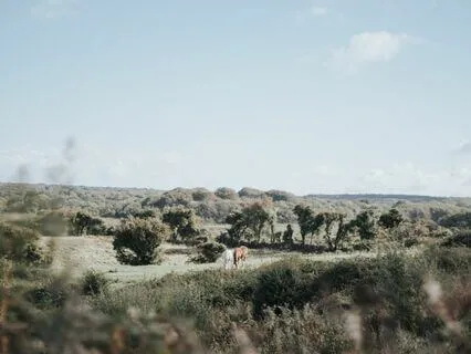 5 Minutes Of Grounding