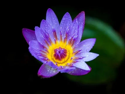 5 Minutes Of Self Love Compassion Practice