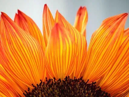 5-Minute Affirmations For Gratitude