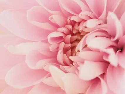 5-Minute Angelic Blessings And Healing