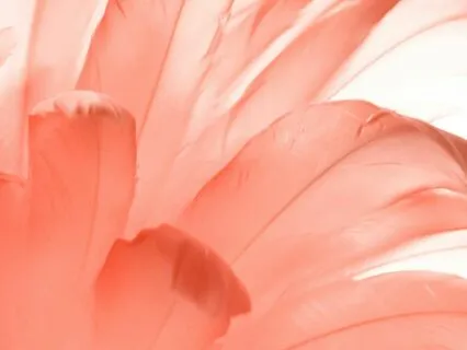 5-Minute Anxiety To Serenity Meditation