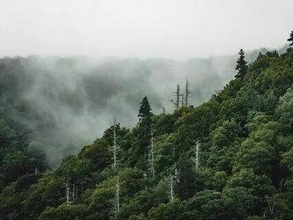 5 Minute Bedtime Meditation Music