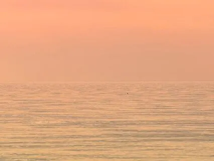 5-Minute Bedtime Wind Down: Reflect, Release And Rest