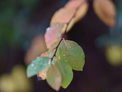 8 Minute Beginners Meditation