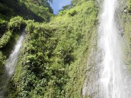 5 Minute Body Awareness Meditation