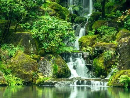 5 Minute Body Scan And Mindfulness Of Breathing Meditation