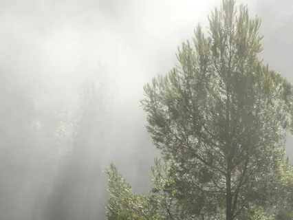 5-Minute Body Scan Meditation For Stress Relief