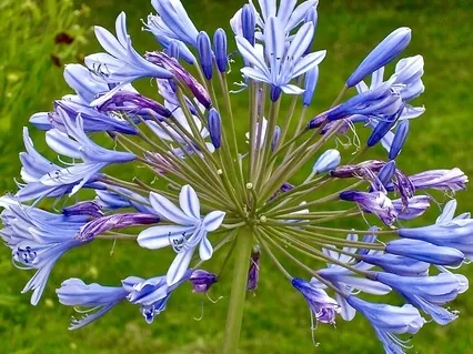 5-Minute Breath Guidance