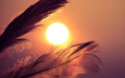 5 Minute Breathing Meditation