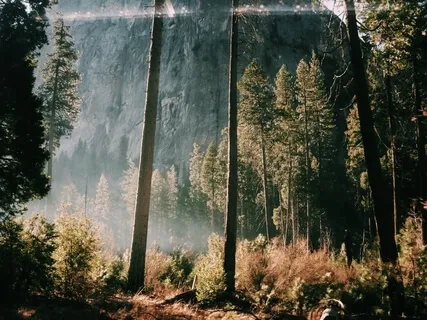 Breathing For Stillness