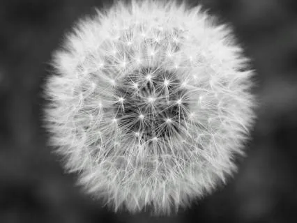 5-Minute Breathwork For Anxiety And Stress Relief