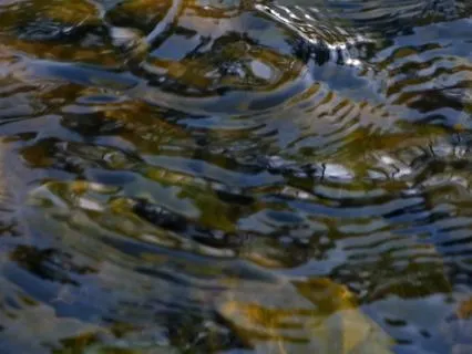 5-Minute Calm Down With Gentle Stream And Reiki