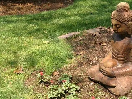 5 Minute Calm In 5 Breaths