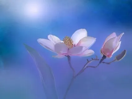 Five Minute Calm, Restore And Reset Meditation