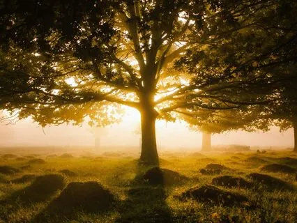 5-Minute Coming Home Ritual