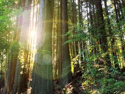 5-Minute Deep Breathing For Relaxation