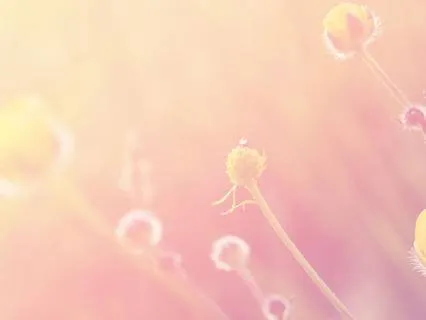 5-Minute Energizing Breath Practice: Breath Of Joy