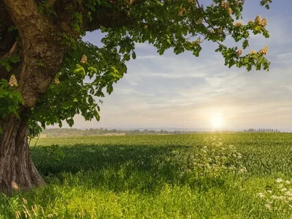 5 Minute Energy Booster