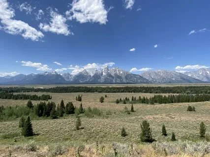 Five-Minute Forgiveness Meditation