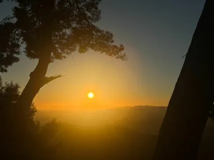 5-Minute Gentle Morning Meditation