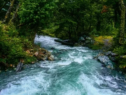 5 Minute Grounding Body Scan