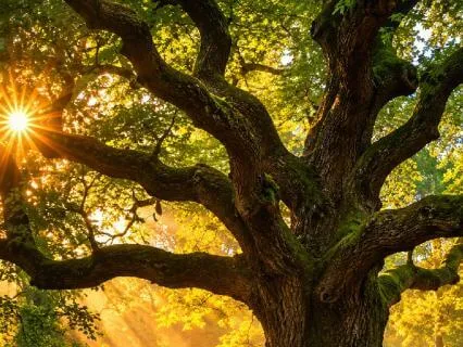 5 Minute Grounding Meditation For Anxiety Relief