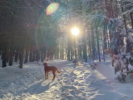 5 Minute Grounding Meditation: Polarity