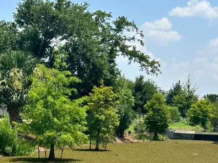 5-Minute Grounding Meditation