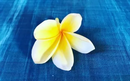 5 Minute Guided Body Scan & Soundbowls