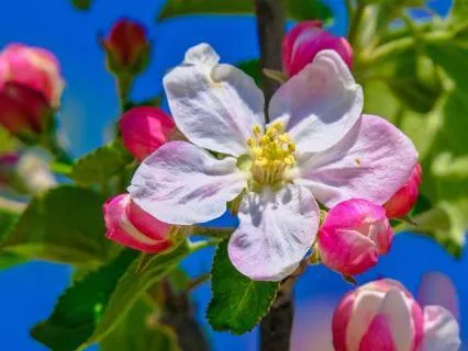 5 Minute Guided Breathwork For Calm