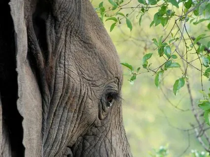 5 Minute Guided Diaphragmatic Breathing