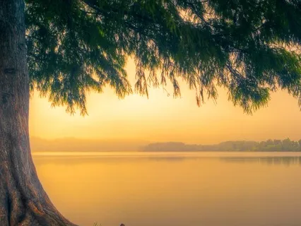 5-Minute Meditation To Practice Stillness