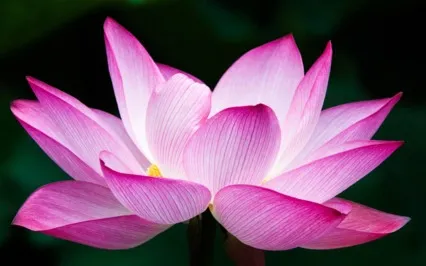 5 Minute Guided Meditation For Relaxation