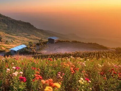 5 Minute Guided Meditation For The Morning