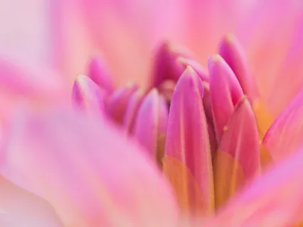 5 Minute Guided Meditation To Relax Your Mind