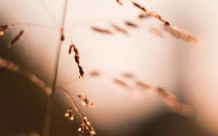 5-Minute Guided Meditation To Tune Into Your Surroundings