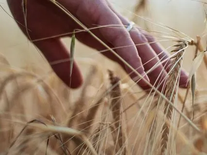 5 Minute Healing Body Scan Meditation