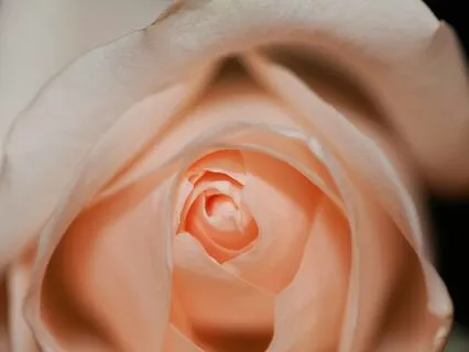 5 Minute Heart-Opener To Attract Abundance