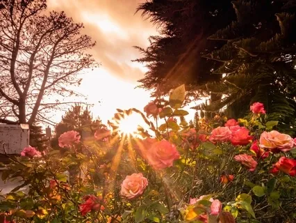 5 Minute Homecoming Meditation