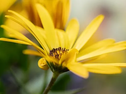 5 Minute Kindness Meditation