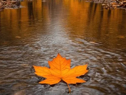 5-Minute Letting Go Meditation For Release & Calm