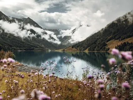 5-Minute Manifestation - How To Manifest What You