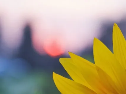 5 Minute Meditation - Befriending Your Body