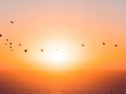 5 Minute Meditation - Begin Your Day With Gratitude