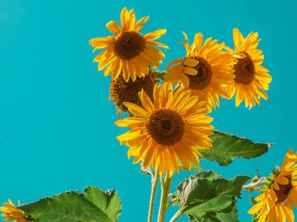 5 Minute Meditation Challenge: Day 1 – Sight