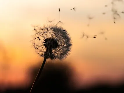 5 Minute Meditation Challenge: Day 2 - Sound